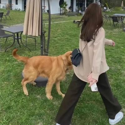 诗人出差了